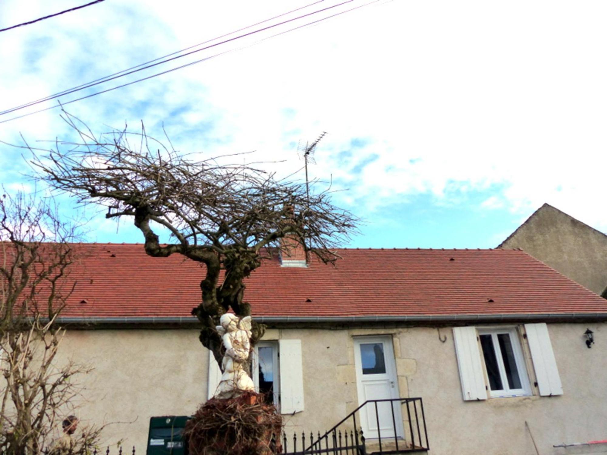 Maison Cocooning Avec Jardin Et Cheminee Pres De Vichy - Velos Et Animaux Acceptes - Fr-1-489-68 Villa Brout-Vernet Eksteriør billede